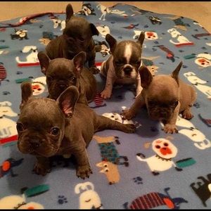 Meet your Posher, Timothy